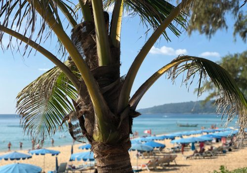 Discovering the Best of Kata Beach Hotels for Your Next Tropical Getaway