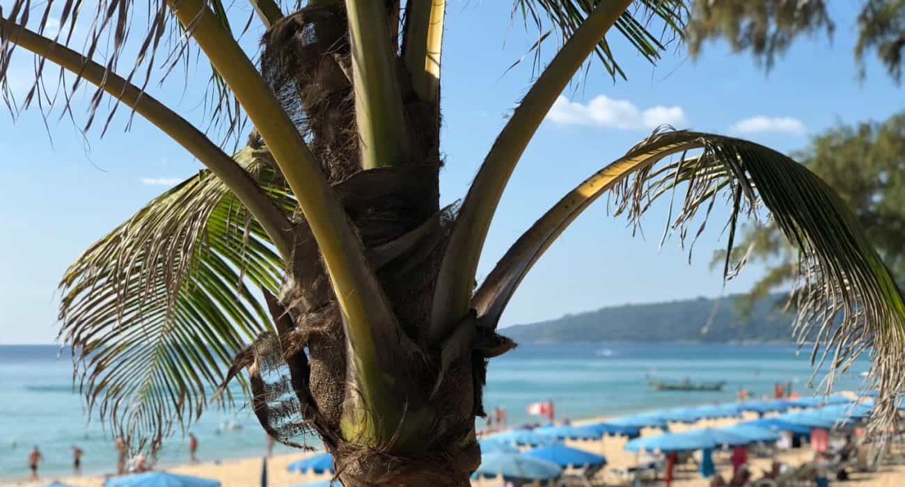 Discovering the Best of Kata Beach Hotels for Your Next Tropical Getaway